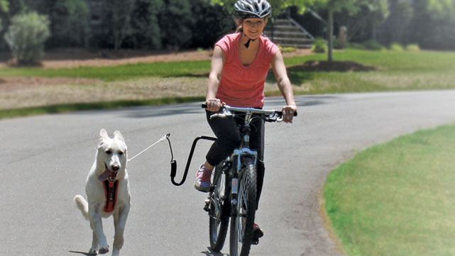 You and your dog can enjoy bike riding together with the Springer Dog Exerciser bicycle attachment.